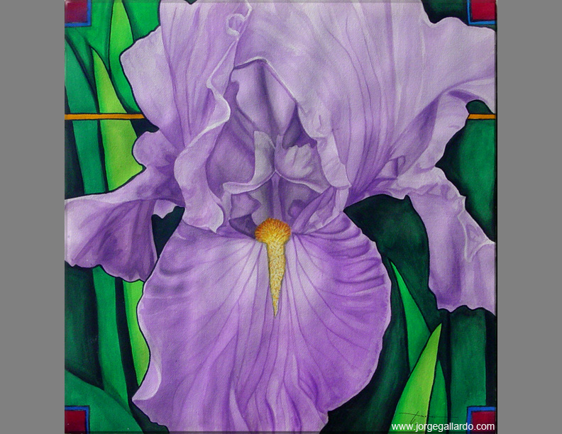 iris72dpi85x11.jpg