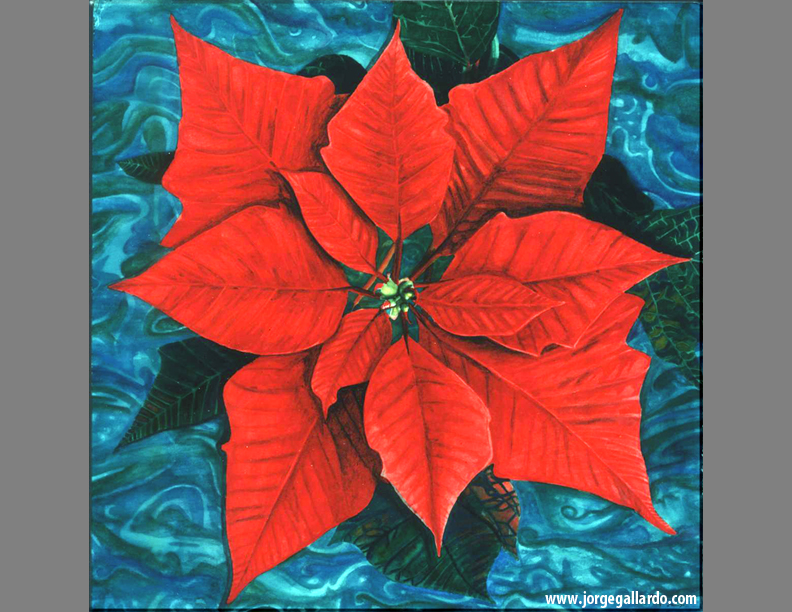 poinsettia72dpi8_5x11.jpg