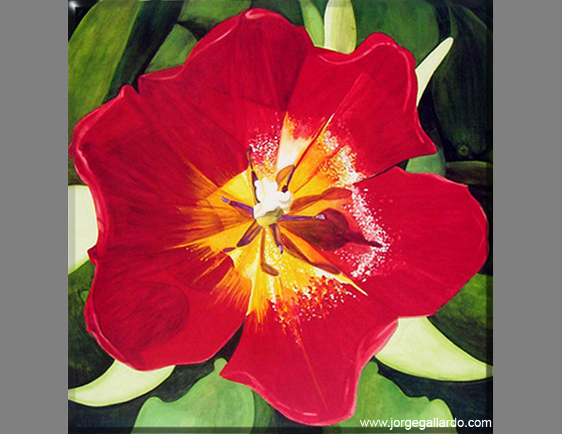 tulip72dpi85x11.jpg