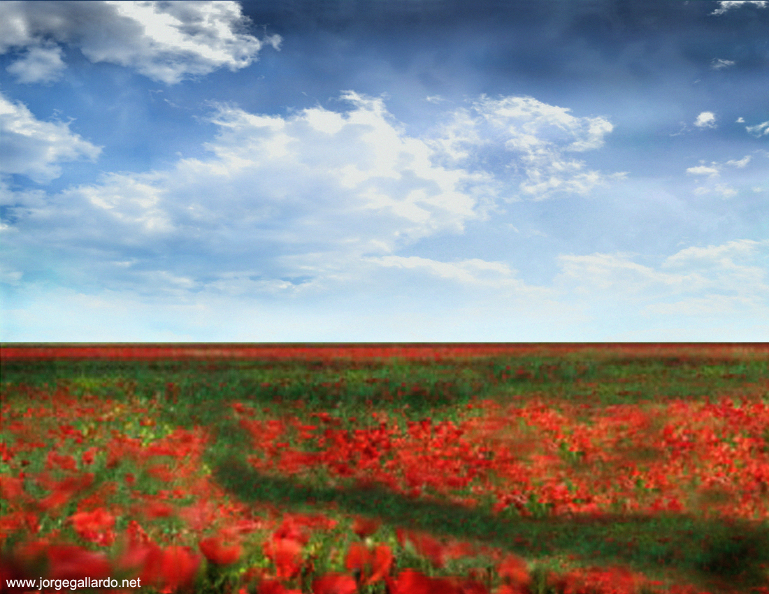 tulip_fields_is_a_digital_image_made_by_jorge_gallardo.jpg