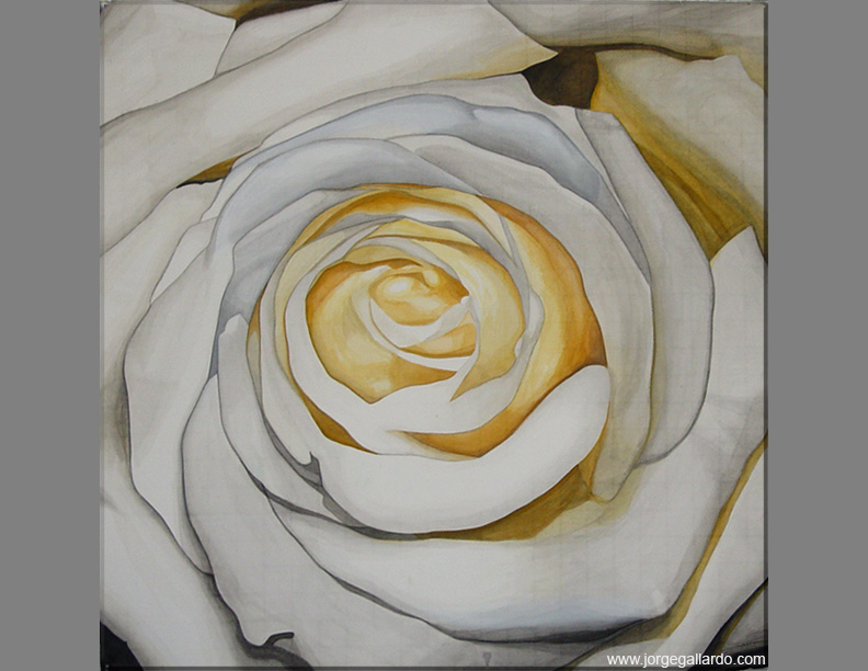 whiteandyellowrose72dip85x11.jpg